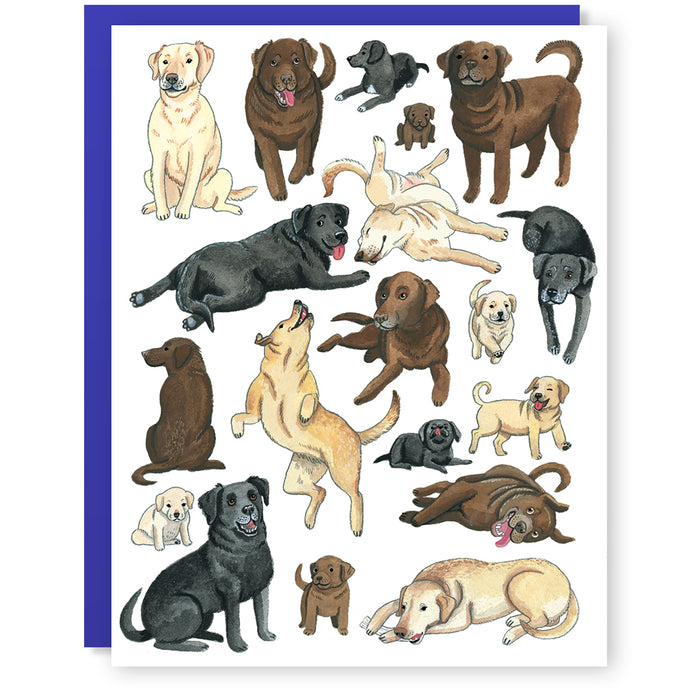 Labradors Card