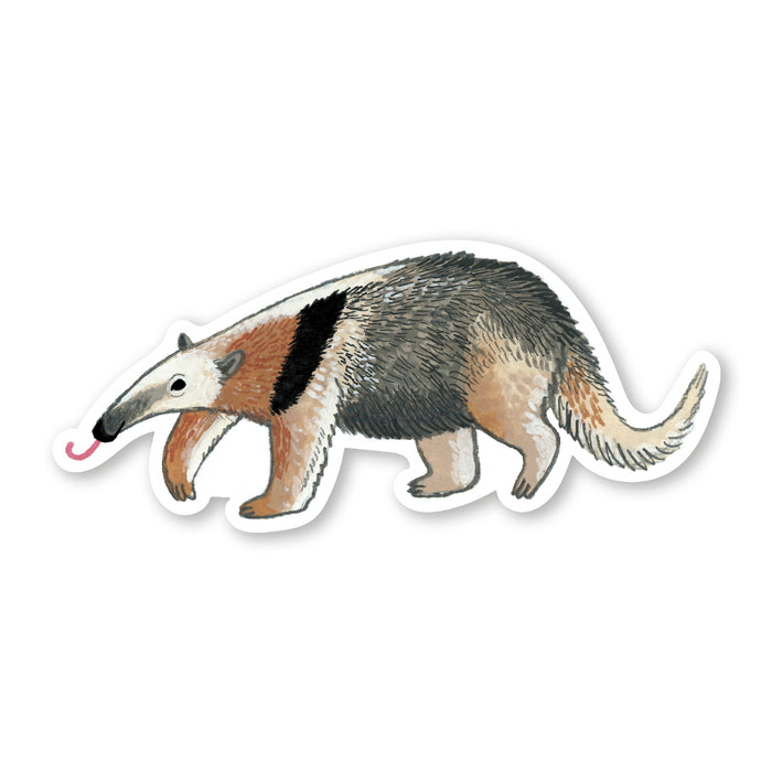 Anteater Sticker