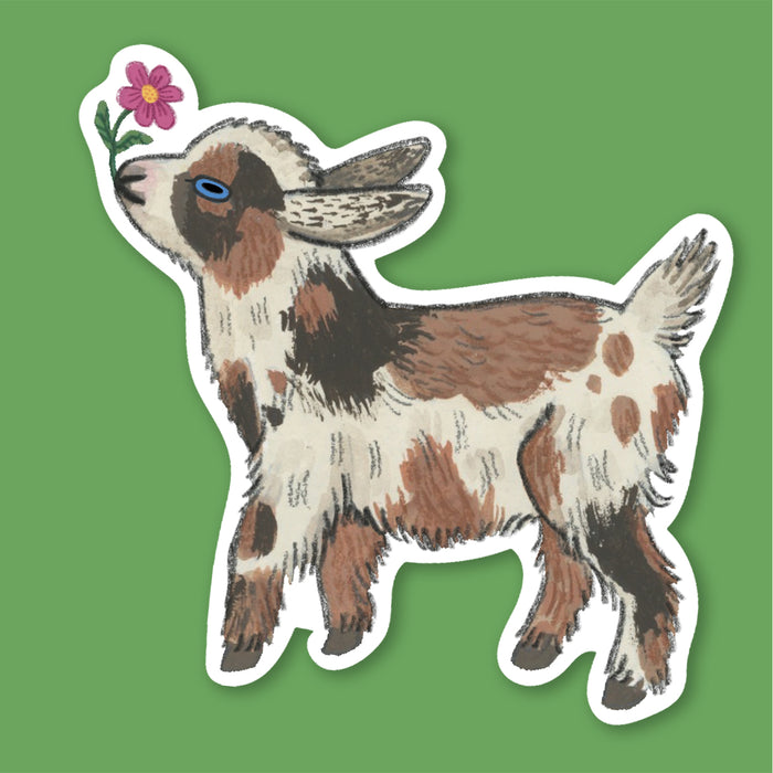 Baby Goat Sticker