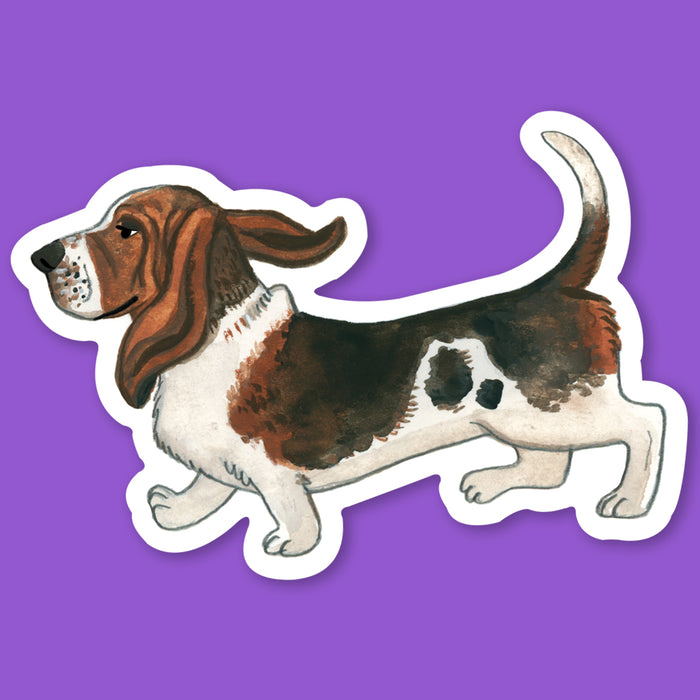 Basset Hound Sticker