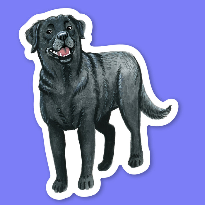 Black Labrador Sticker