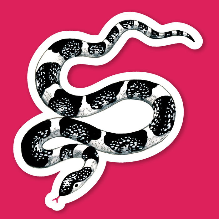 Snake Black Sticker Black & White Snake Sticker — Party Mouse Studio