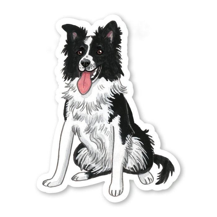 Border Collie Sticker