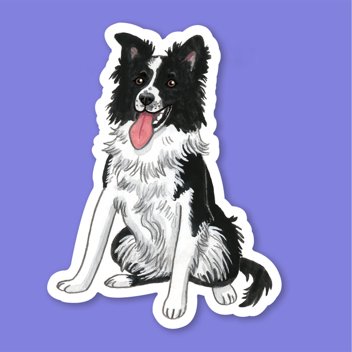 Border Collie Sticker