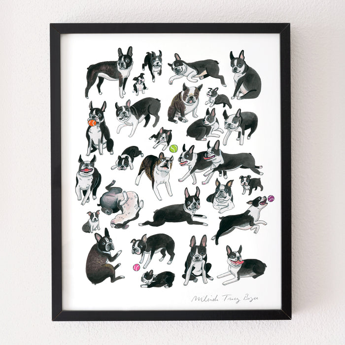 Boston Terrier Print