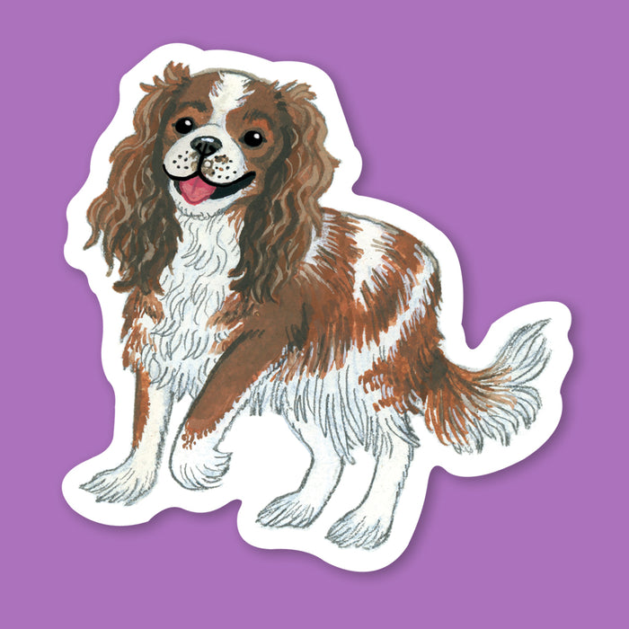 Cavalier King Charles Sticker