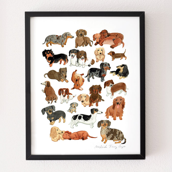 Dachshund Print