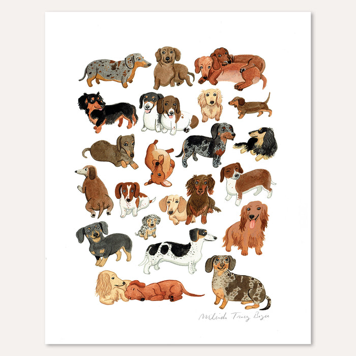 Dachshund Print