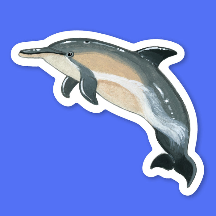 Dolphin Sticker