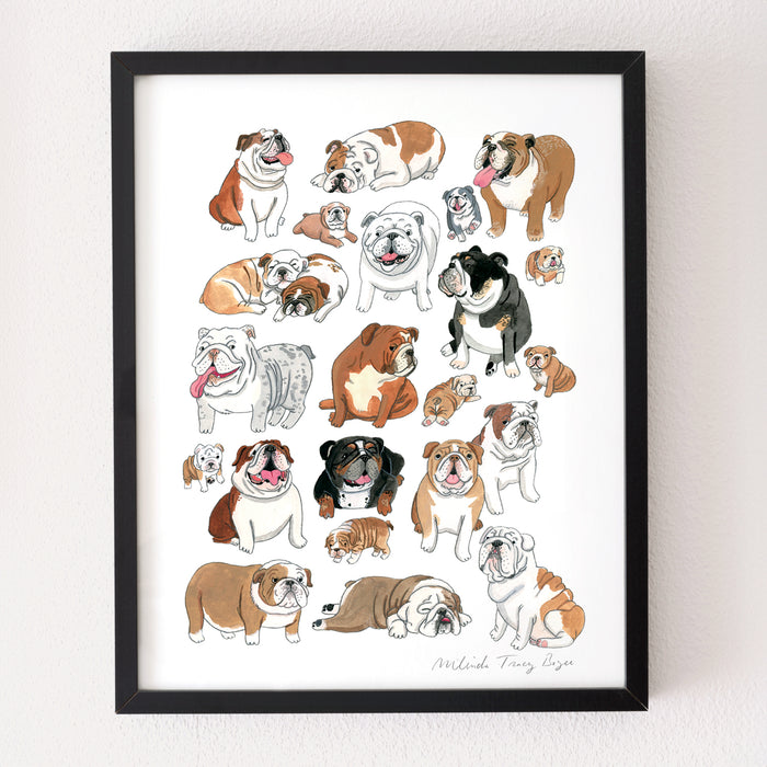 English Bulldog Print