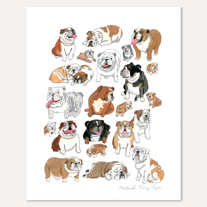 English Bulldog Print