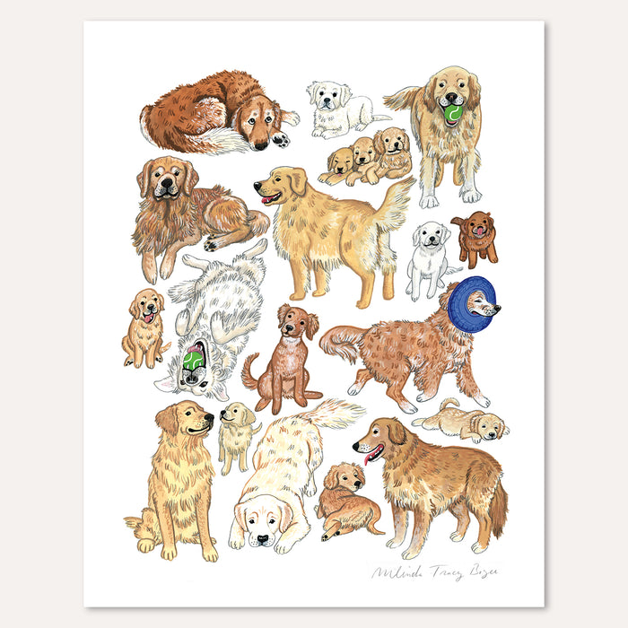 Golden Retriever Print