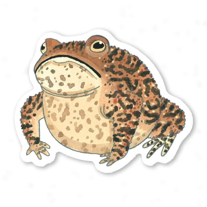 Grouchy Toad Sticker