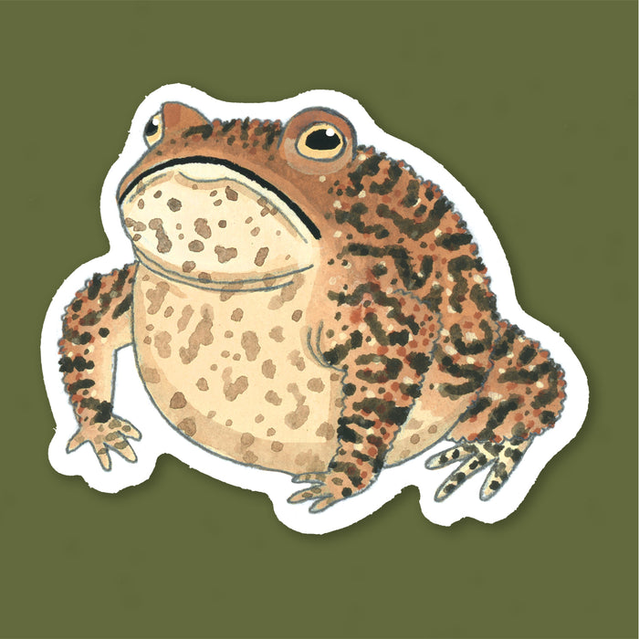 Grouchy Toad Sticker