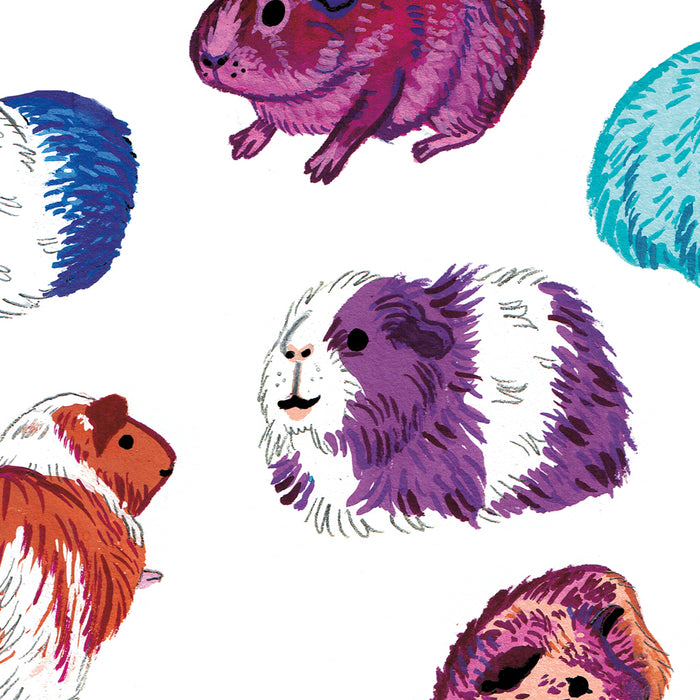 Guinea Pig Print