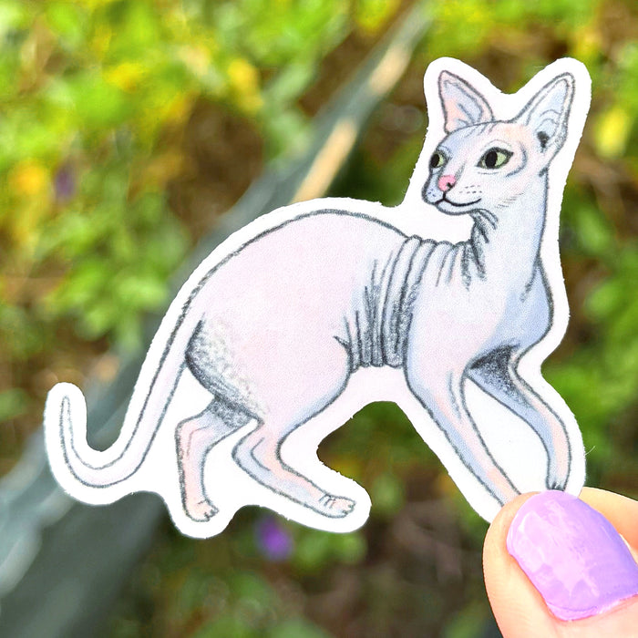 Hairless Cat Sticker
