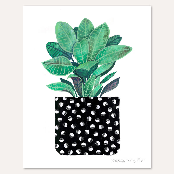 Half-Moon Houseplant Print