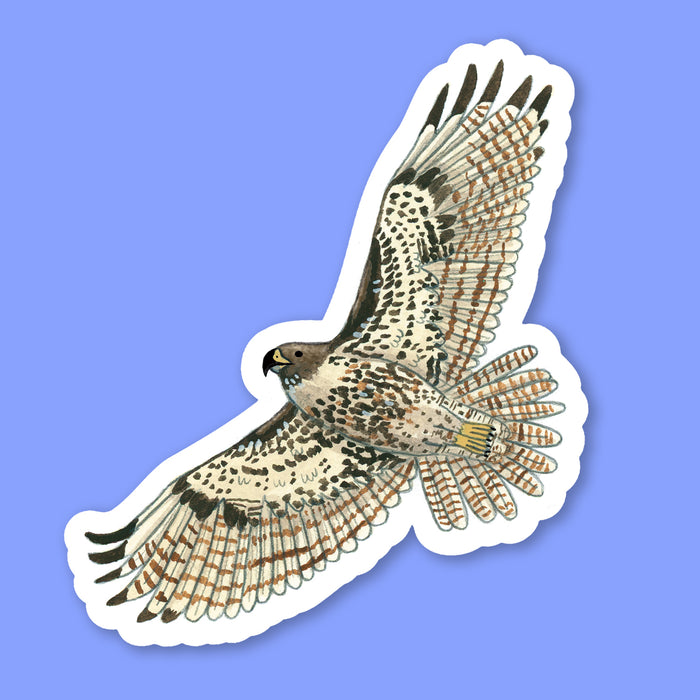 Flying Hawk Sticker Red-tailed Hawk Sticker — Party Mouse Studio