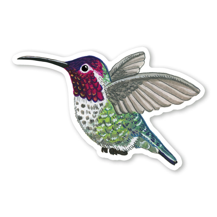 Hummingbird Sticker