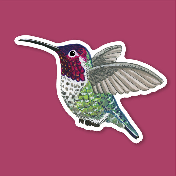 Hummingbird Sticker
