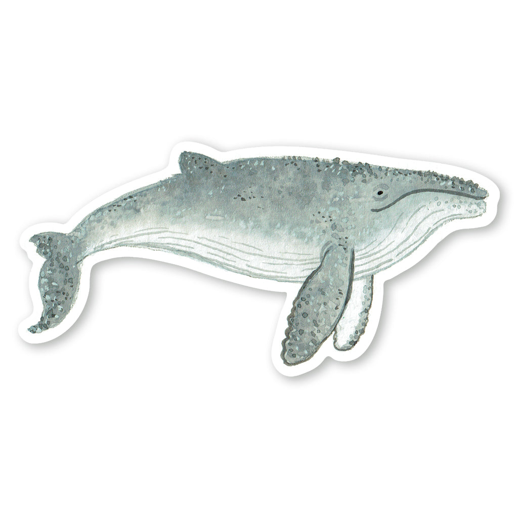 Humpback Whale Sticker by Party Mouse Studio