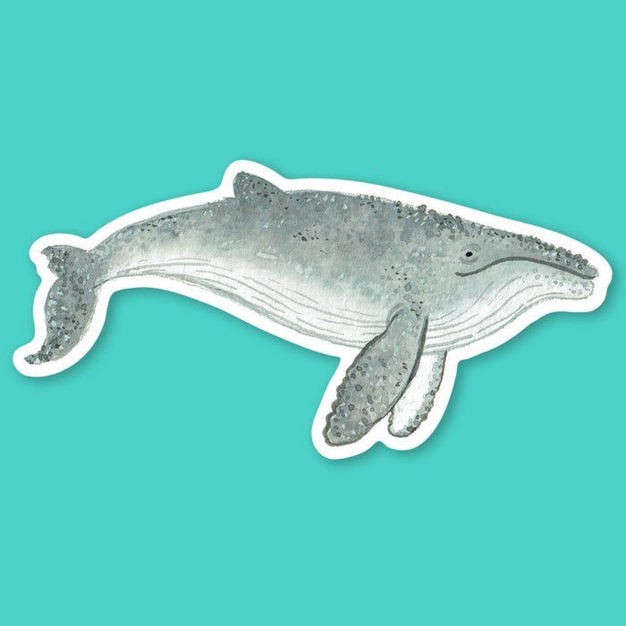 Humpback Whale Sticker