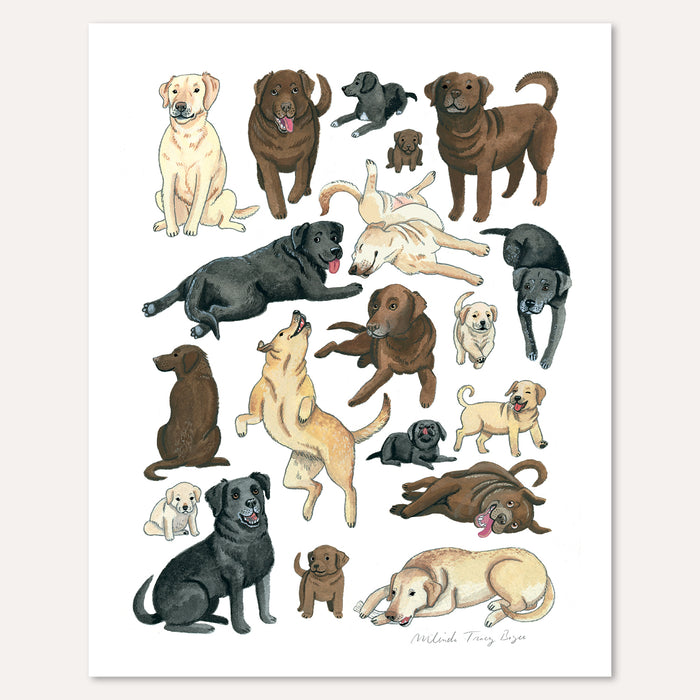 Labrador Retriever Print
