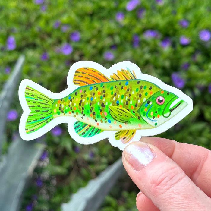 Largemouth Bass Sticker