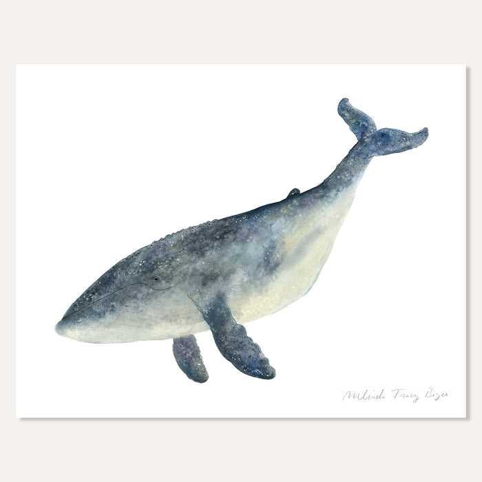 Lone Whale Print