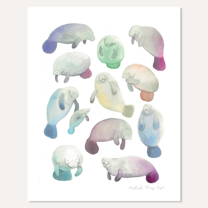Manatee Print