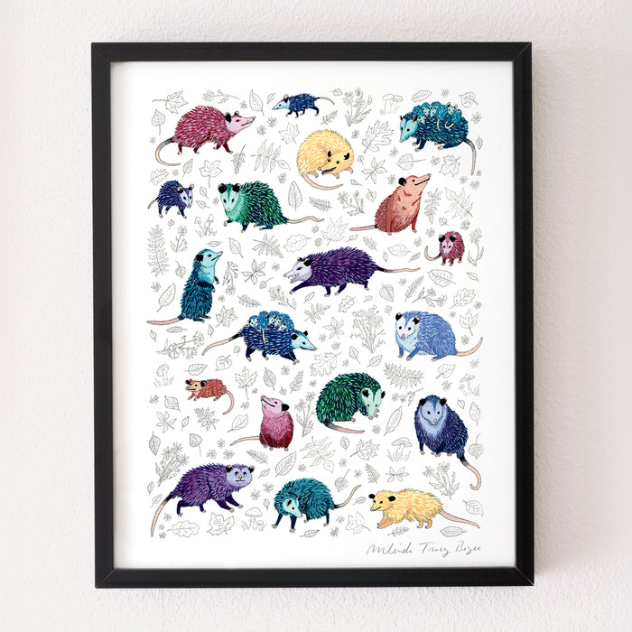 Opossum Passel Print