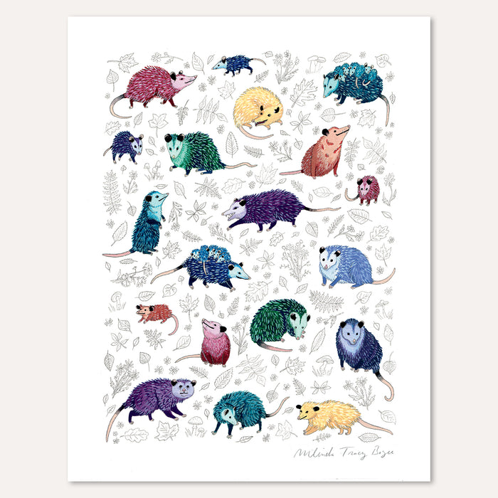 Opossum Passel Print