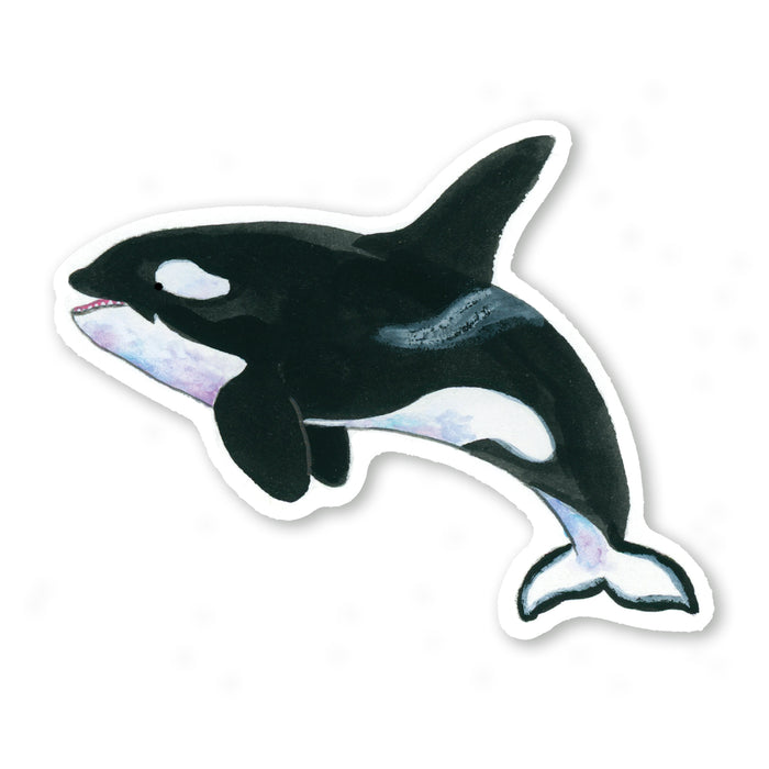 Orca Sticker