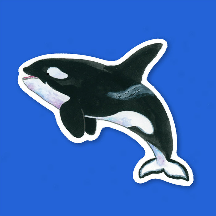 Orca Sticker