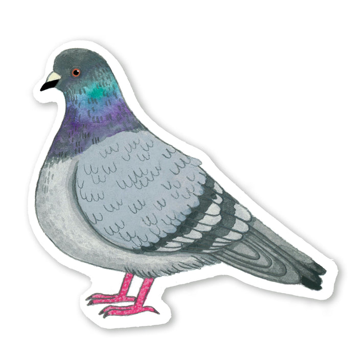 Pigeon Sticker