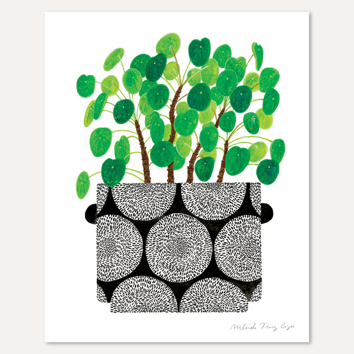Pilea Plant Print