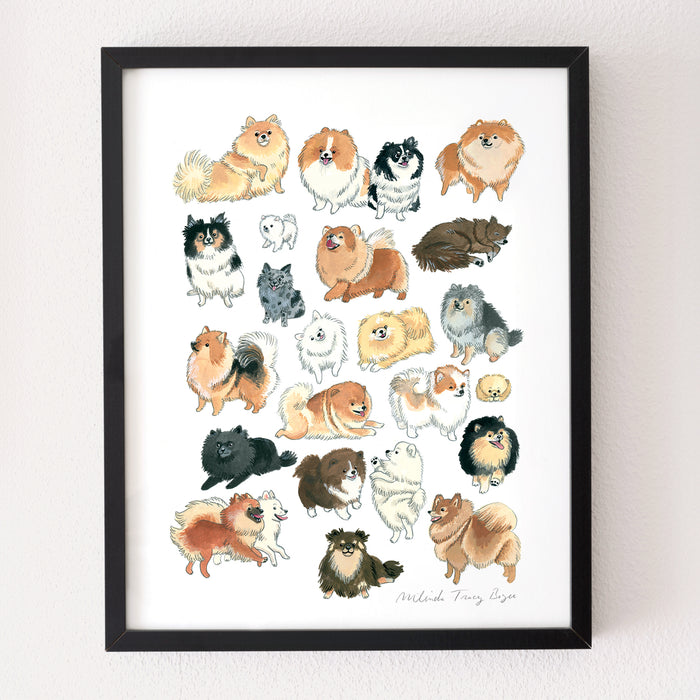 Pomeranian Print