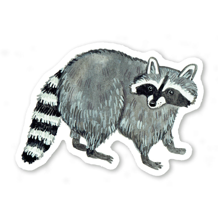 Raccoon Sticker