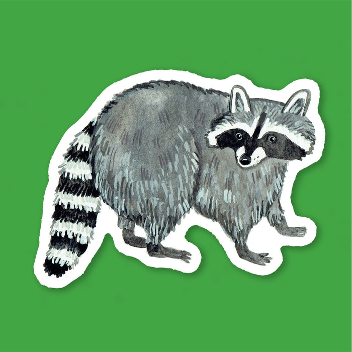 Raccoon Sticker