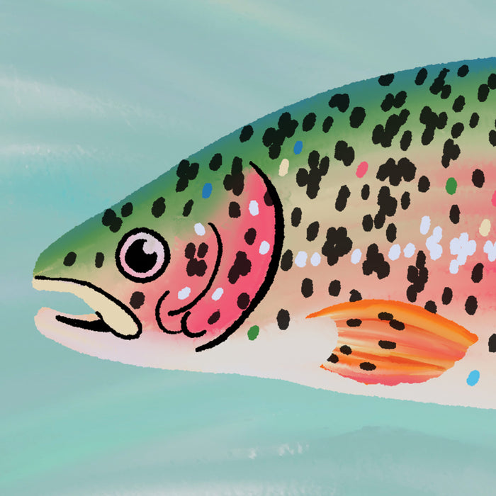 Rainbow Trout Print