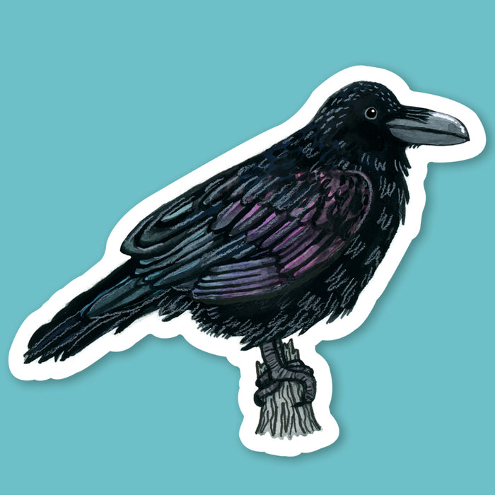 Raven Sticker