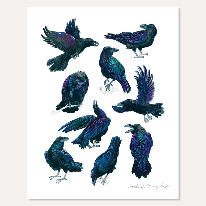 Ravens Print