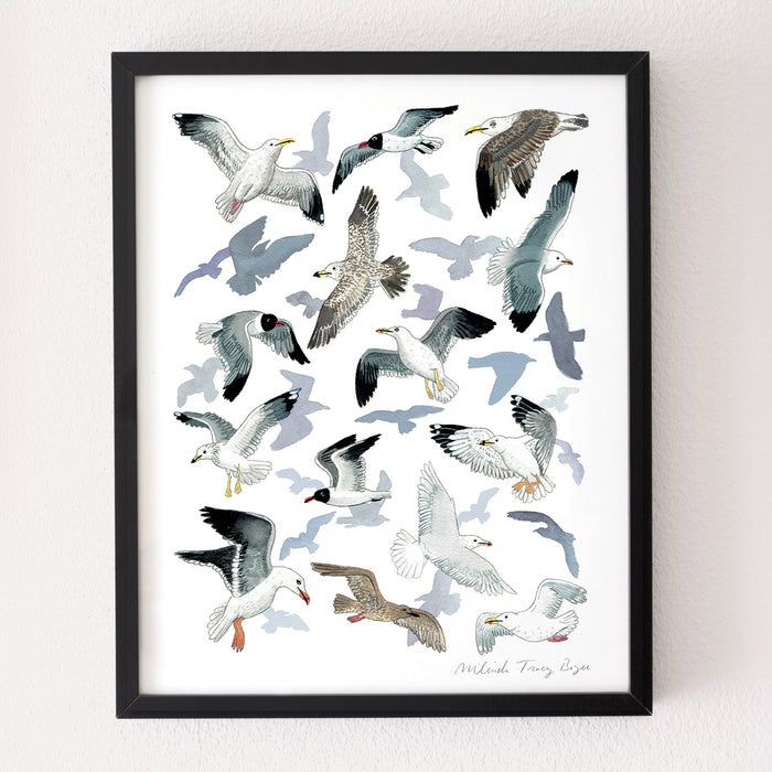 Seagull Sanctuary Print