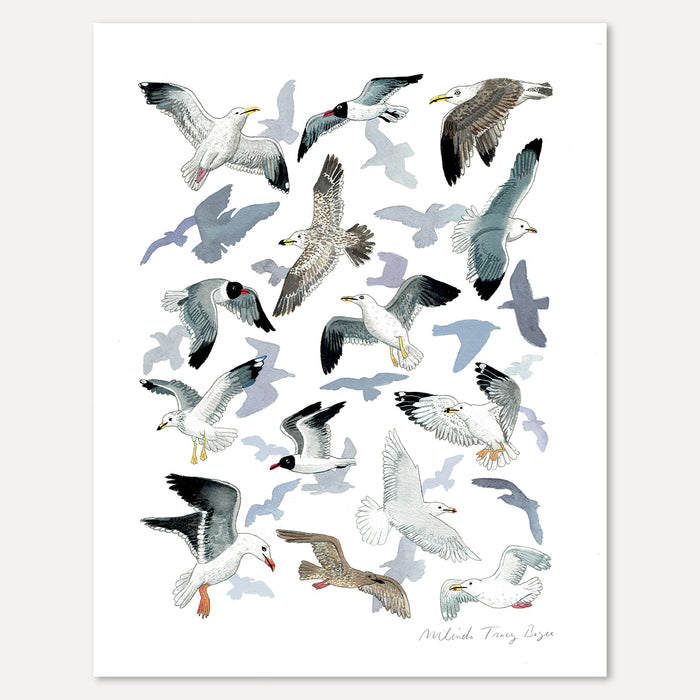 Seagull Sanctuary Print