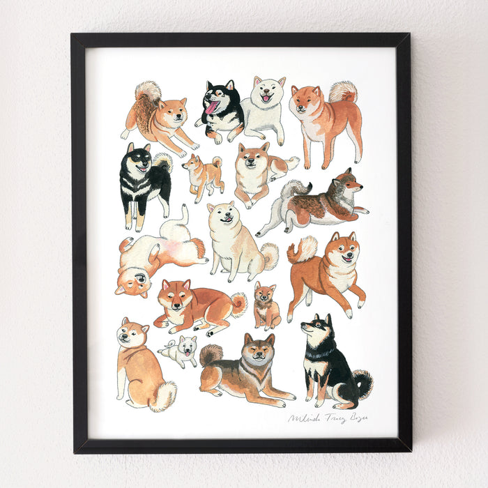 Shiba Inu Print