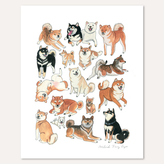 Shiba Inu Print