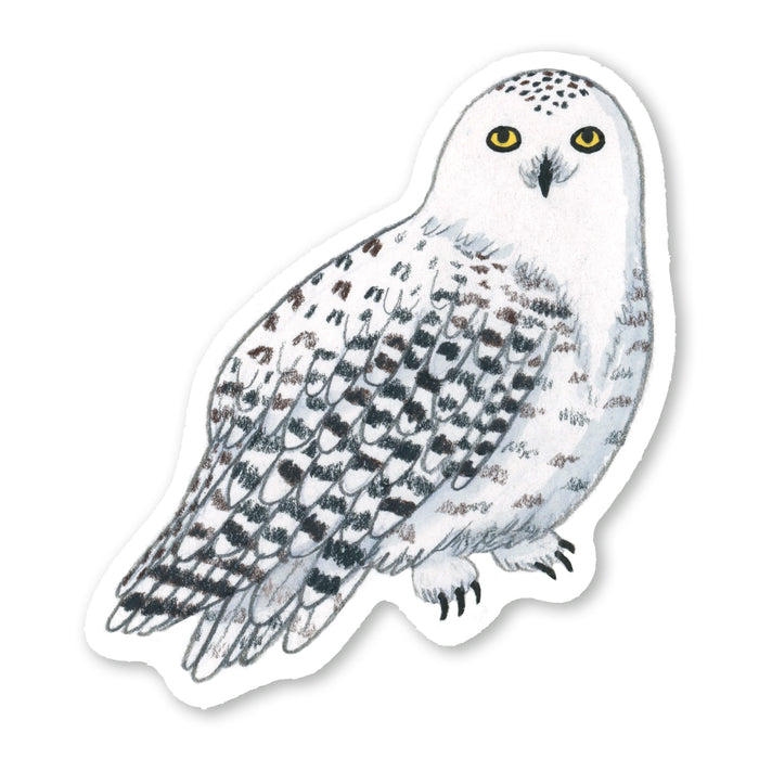 Snowy Owl Sticker