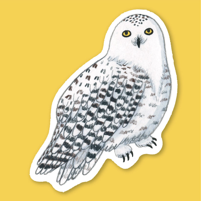 Snowy Owl Sticker