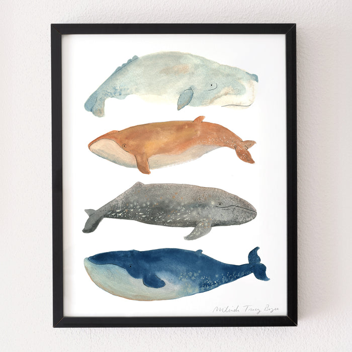 Whale Gang Print