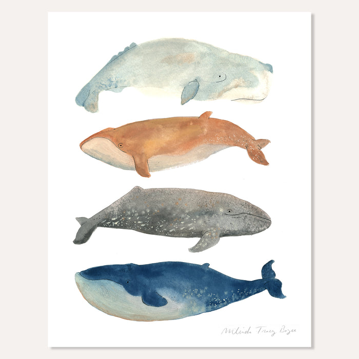 Whale Gang Print